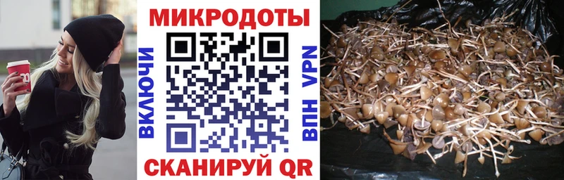 Псилоцибиновые грибы Magic Shrooms  Кологрив 